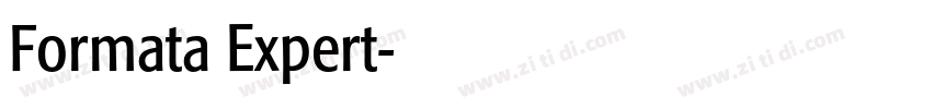 Formata Expert字体转换